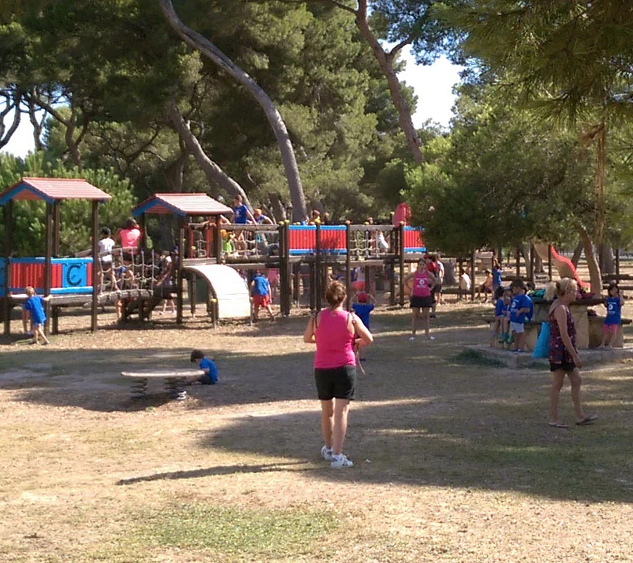 ESCUELA DE VERANO EN CASTELLON